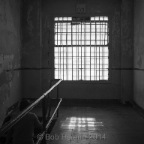 aiwewei_alcatraz-00128